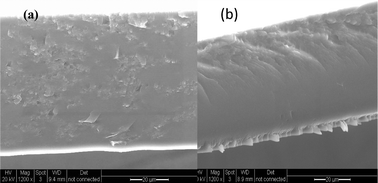 Scanning electron microscopy of a cross section of (a) GO/Nafion composite membrane and (b) recast Nafion.