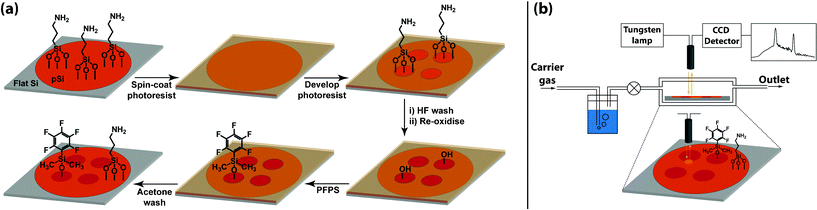 (a) Surface fabrication procedure for the patterned incorporation of two different silane compounds on a pSi rugate surface. (b) Organic vapour sensor setup, illustrating flow cell and IRS monitoring at a chemical interface on the pSi surface.