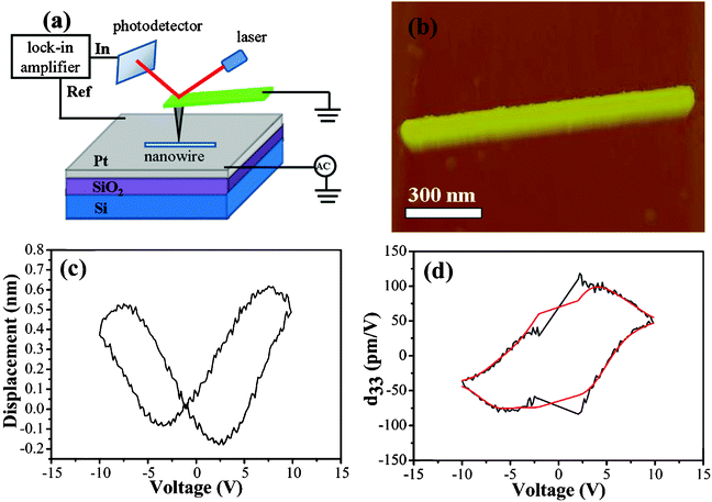 (a) A schematic diagram of the PFM experiment on a typical LiNbO3 nanowire, (b) topographic image of a single LiNbO3 nanowire, (c) the typical D–V “butterfly” cure, and (d) the corresponding d33-V loop.