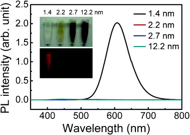 Photoluminescence spectra of the bare AuNPs and MUA-AuNPs with different sizes. Inset is the photographs of these solutions with (top) white-light and (bottom) UV illumination.