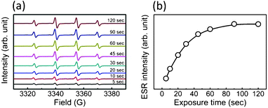 EPR spectra revealing spin adducts DMPO-OH in our precursor solution during X-ray irradiation, for different irradiation times; (b) variation with irradiation time of the ESR peak intensity.