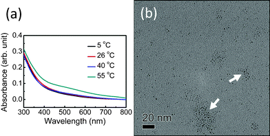 (a) UV-visible spectra of MUA-AuNP colloidal solutions with pH = 11.28 after X-ray irradiation at different temperatures; (b) A TEM micrograph of the precipitated MUA-AuNP colloidal solution obtained at 55 °C.