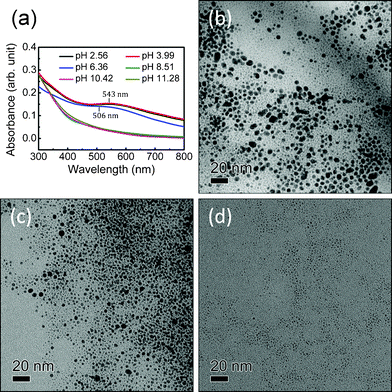 (a) UV-visible spectra of MUA-Au colloidal solutions obtained by different pH values of the precursors solutions by 2 s of X-ray irradiation at 26 °C; (b) TEM micrographs of precipitated MUA-Au colloidal solutions obtained at (b) pH = 2.56, (c) pH = 6.36 and (d) pH = 11.28.