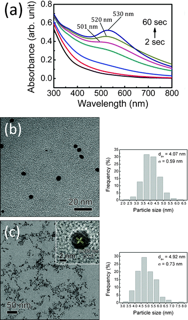 (a) UV-visible spectra of MUA-Au precursor solutions after different X-ray irradiation times, 2, 5, 10, 20, 30, 45, 60 s, at 26 °C, starting from pH = 11.28. (b) and (c) representative TEM micrographs and size histograms (from n > 500 particles in different micrographs) of precipitated MUA-Au precursor solutions after 30 and 60 s irradiation. The inset of Fig. 3(c) shows a high-resolution TEM micrograph revealing lattice planes with the known Au(111) spacing of 0.235 nm.