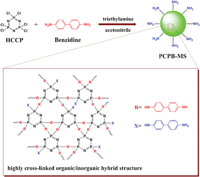 Illustration of the synthetic route and suggested chemical structure of PCPB-MS.