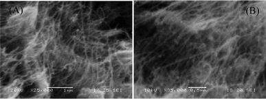 SEM images of SWNT–PdNPs (A) in 1 μm scale and (B) in 0.5 μm scale.