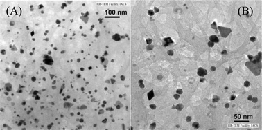 TEM images of SWNT–PdNPs after the 4th catalytic cycle (A) presented with 100 nm scale and (B) presented with 50 nm scale.