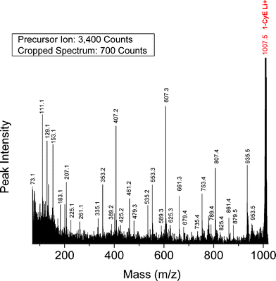 MALDI-TOF/TOF mass spectrum segment for cyclic PBA structure 1-CyE at a low collision gas pressure of 1.5 × 10−6 Torr. Precursor ion (1007.5 Da) is cationized by lithium.