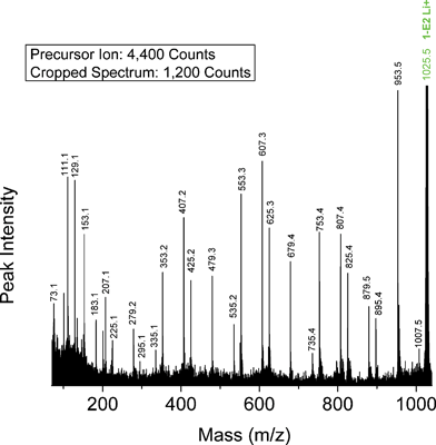 MALDI-TOF/TOF mass spectrum segment for linear butanol-carboxyl terminated PBA structure 1-E2 at a low collision gas pressure of 1.5 × 10−6 Torr. Precursor ion (1025.5 Da) is cationized by lithium.