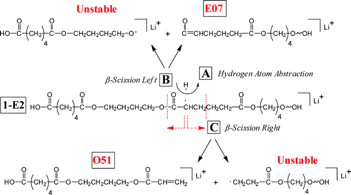 Remote hydrogen abstraction fragmentation reactions—for acid chain α-methylene hydrogens. The structure in the center is the radical produced from hydrogen abstraction by a remote carbonyl group. Each fragmentation produces one stable and one unstable species.