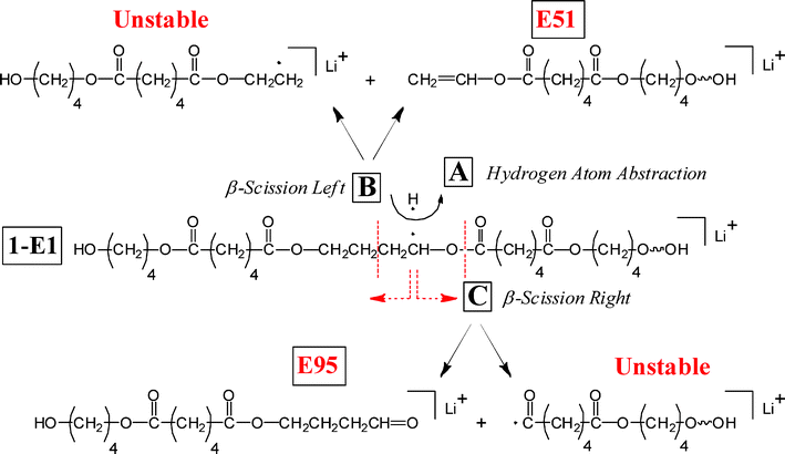 Remote hydrogen abstraction reactions—for diol chain α-methylene hydrogens the structure in the center is the radical produced from hydrogen abstraction by a remote carbonyl group. Each fragmentation produces one stable and one unstable species.