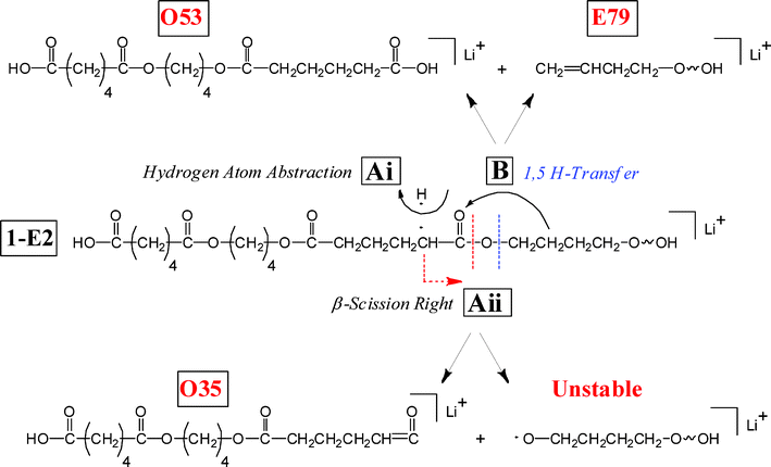 Multiple fragmentation reactions for poly(butylene adipate) oligomers. The center species has already undergone an initial 1,5 H-transfer to produce a carboxyl end group. Series O53 is produced by a second 1,5 H-transfer and series O35 by a remote α-H acid abstraction.