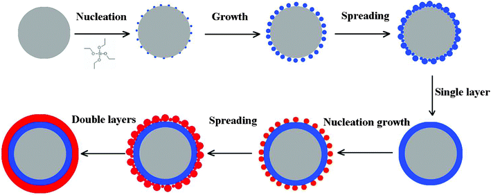 Schematic view of the formation mechanism of silica coating layer on the surface of carbon spheres.