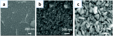 SEM images of the products at different reaction stages: (a) after activation, (b) 30 min, (c) 60 min.