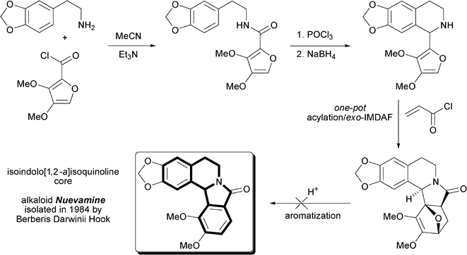 Proposed synthesis of nuevamine via the IMDAF reaction