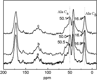 
            13C-NMR spectra of electrospun neat and VC-2-p-loaded SF nanofibrous matrices (a. 25%SF, b. 1%VC-2-p-25%SF and c. 3%VC-2-p-25%SF).