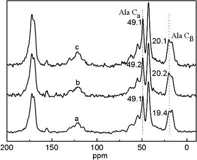 
            13C-NMR spectra of neat and VC-2-p-loaded SF nanofibrous matrices with 75 v/v% ethanol vapor treatment (a. 25%SF, b. 1%VC-2-p-25%SF and c. 3%VC-2-p-25%SF).