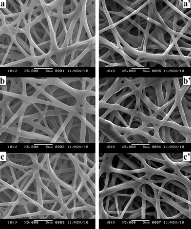 SEM micrographs of neat and VC-2-p-loaded SF nanofibers treated with 75 v/v% ethanol vapor (a. 25%SF, b. 1%VC-2-p-25%SF and c. 3%VC-2-p-25%SF); SEM micrographs of neat and VC-2-p-loaded SF nanofibers treated with 75 v/v% ethanol vapor after the release of VC-2-p (a'. 25%SF, b'. 1%VC-2-p-25%SF and c'. 3%VC-2-p-25%SF).