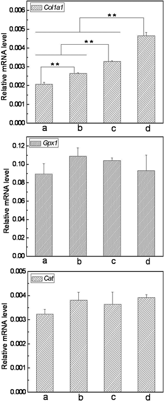 Expression of Col1a1, Gpx1 and Cat in L929 cells cultured on different nanofibrous matrices (a. cover slips, b. 25%SF, c. 1%VC-2-p-25%SF and d. 3%VC-2-p-25%SF) (**P < 0.01).