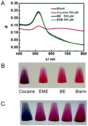 The UV-Vis spectra (A) and visual detection (B–C) of AuNP-based cocaine assays using TFA. A) Selectivity for cocaine over two analogues, ecgonine methyl ester (EME) and benzoyl ecgonine (BE). B) Visual detection of cocaine over EME and BE. C) From left to right, assays with TFA (probe 3, 4, and 5) and the control sequences (probe 5 in TFA was replaced by probe 5-1, probe 5-2, probe 5-3 and probe 5-4, respectively) in the presence of cocaine.