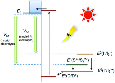 Schematic description of electron transfer processes in the I−/I3− electrolyte and hybrid electrolyte.