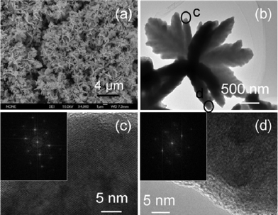 (a) SEM image; (b) TEM image; (c) HR-TEM image of circled c in (b) and FFT pattern (inset in (c)); and (d) HR-TEM image of circled d in (b) and FFT pattern (inset in (d)) of the flower-like CdSe dendrites synthesized in mixed solution composed of 20 ml ethanol and 5 ml ionic liquid based on formic acid (HCOOH, 88%) and N,N-dimethylformamide (DMF) with the same molar ratio at 150 °C for 24 h.