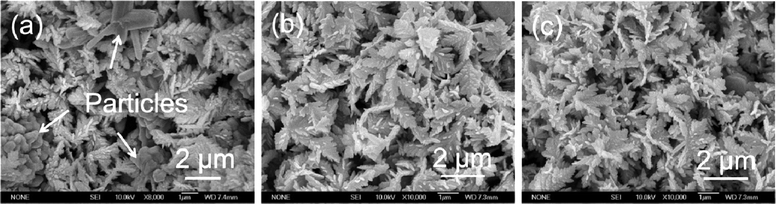 Evolution process of the as-prepared flower-like CdSe dendrites synthesized under solvothermal conditions with a mixed solution composed of 20 ml ethanol and 5 ml ionic liquid based on formic acid (HCOOH, 88%) and N,N-dimethylformamide (DMF) with the same molar ratio at 150 °C for different times: (a) 8 h; (b) 12 h and (c) 18 h.