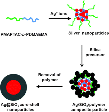 Schematic diagram of synthesis of Ag@SiO2 core–shell nanoparticles.