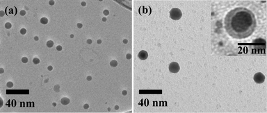 TEM images of (a) Ag nanoparticles and (b)Ag@SiO2 core–shell nanoparticles.