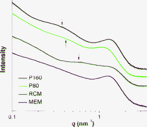 SAXS spectra of swollen PFSI membranes prepared by different methods.