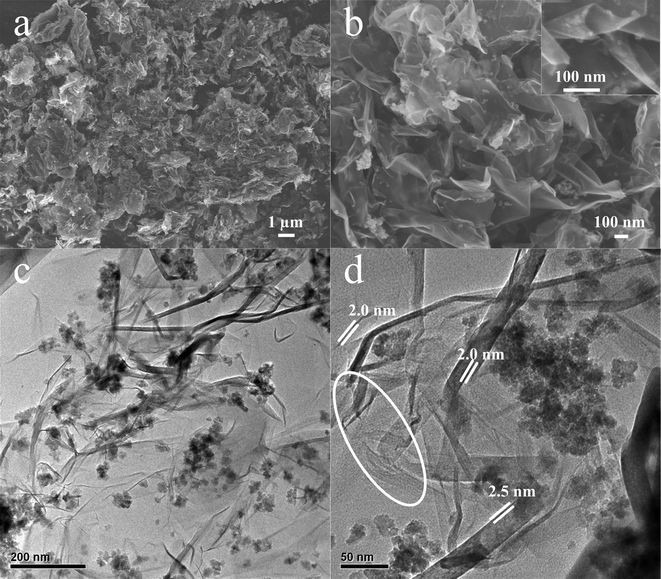 FESEM (a–b) and TEM (c–d) images of the magnetite modified GNSs.