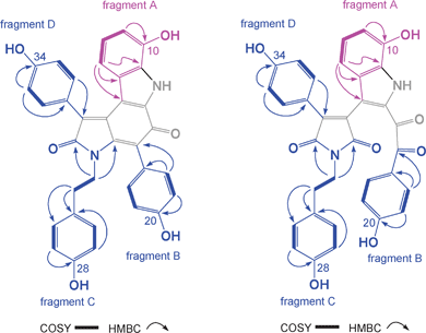 Key 2D NMR correlations and structure fragments for 1 and 5.