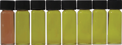 Colour change of complex 1 (2 × 10−5 mol L−1 in DMSO) after addition of 10 equiv. of different anions. From left to right: F−, Cl−, Br−, I−, HSO4−, H2PO4−, CH3COO− and ClO4−.