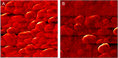 AFM tapping phase images for PVDF-QVBC membrane: (A) PVDF-QVBC 3, (B) PVDF-QVBC 4; scan boxes are 2 μm × 2 μm.