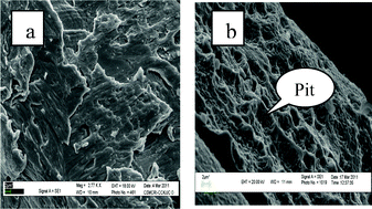 SEM images of copper powder (a) fresh; and after the reaction (b) in an open atmosphere.