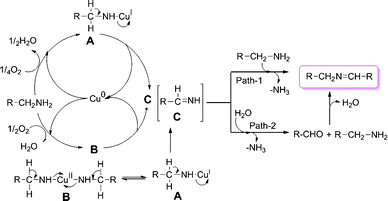 Probable mechanism for the copper-catalyzed aerobic oxidation of primary amines to imines.