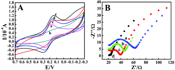 (A) Cyclic voltammograms of (a) CILE, (b) CTS/Mb/CILE, (c) CTS/Mb/C@Fe3O4/CILE, (d) CTS/IL/Mb/CILE and (e) CTS/IL/Mb/C@Fe3O4/CILE in a solution mixture of 1.0 mmol L−1 [Fe(CN)6]3-/4- and 0.1 mol L−1 KCl with a scan rate of 100 mV s−1. (B) EIS for (a) CILE, (b) CTS/IL/Mb/CILE, (c) CTS/IL/Mb/Fe2O3/CILE and (d) CTS/IL/Mb/C@Fe3O4/CILE in the presence of 5.0 mmol L−1 [Fe(CN)6] 3−/4− and 0.1 mol L−1 KCl, with the frequencies swept from 105 to 0.1 Hz.