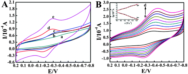 (A) Cyclic voltammograms of (a) CILE, (b) CTS/Mb/CILE, (c) CTS/Mb/C@Fe3O4/CILE, (d) CTS/IL/Mb/CILE and (e) CTS/IL/Mb/C@Fe3O4/CILE in pH 7.0 PBS at a scan rate of 100 mV s−1. (B) Cyclic voltammograms of the CTS/IL/Mb/C@Fe3O4/CILE at different scan rates (from a to j: 100, 200, 300, 400, 500, 600, 700, 800, 900, 1000 mV s−1) in pH 7.0 PBS. The inset shows the plot of cathodic and anodic peak current with scan rate (υ).