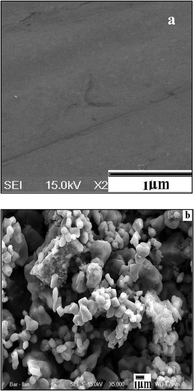 (a) SEM image of the plane stainless steel plate (SSP), (b) SEM image of SSP coated with Ni3S2–C composite.
