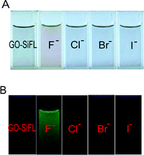 (A) Color changes of GO–SiFL with addition of 100 μL F−, Cl−, Br− and I− anions in DMF, respectively. (B) Fluorescence images of GO–SiFL before and after additions of 100 μL F−, Cl−, Br− and I− anions in DMF. Concentrations: GO–SiFL, 35.1 mg L−1; F−/Cl−/Br−/I− anions, 1 mM in DMF.