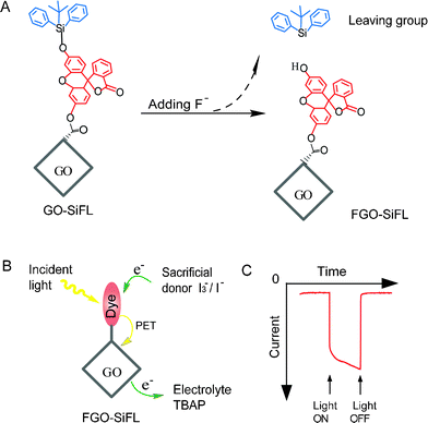 (A) Feasible reactive mechanism for GO–SiFL with addition of F− anions. The grey rhombus represents the GO moiety, the red structure represents the fluorescein moiety, and the blue structure represents the derived silyl moiety. (B) Proposed photoexcited electron transfer process of the FGO–SiFL in the electrochemical cell with addition of I3−/I− ions as the sacrificial donor and tetrabutylammonium perchlorate (TBAP) as the electrolyte. (C) The representative photocurrent response of FGO–SiFL under irradiation.