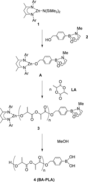 Synthesis of boronic acid terminated PLA's (Ar = 2,6-diisopropylphenyl).