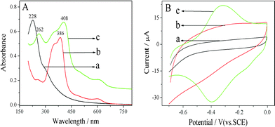 (A) UV-Vis spectra of (a) GO suspension, (b) hemin solution, and (c) H-GNs suspension. (B) CVs of (a) bare GCE, (b) GNs/GCE, and (c) H-GNs/GCE in 0.05 M PBS (pH 7.4), scan rate: 100 mV s−1.