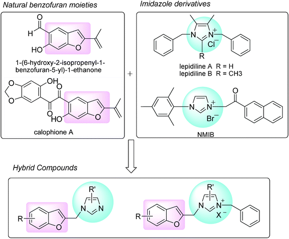 Design of novel hybrid compounds.