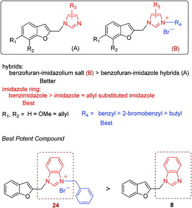 Structure–activity relationship of hybrid compounds.