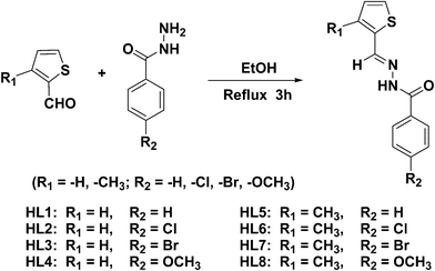 Preparation of benzhydrazone ligands.