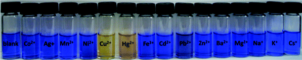 
            1 Color changes of the solution of 4a (50 μM) in acetonitrile upon the addition of 1 equiv. of various metal ions.