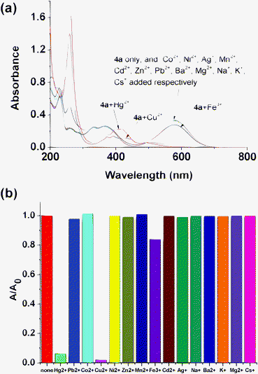 (a) Absorption spectra of 4a (20 μM) in acetonitrile with the addition of 1 equiv. of various metal ions; (b) comparison of absorbance at 579 nm.