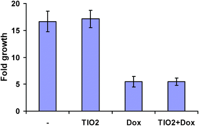 Growth of the cells treated with titanium oxide nanoparticles (50 μg μl−1), doxorubicin (0.5 μg μl−1) or their combination.