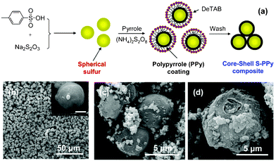 (a) Schematic illustration of the synthesis process of core-shell structured sulfur-polypyrrole (S-PPy) composites with the use of the cationic surfactant decyltrimethylammonium bromide (DeTAB), (b) scanning electron microscopy (SEM) image of the spherical sulfur particles with the inset showing a magnified SEM image of a single sulfur particle with a scale bar of 5 μm, (c) SEM image of a few S-PPy composite particles, and (d) SEM image of a single S-PPy particle.